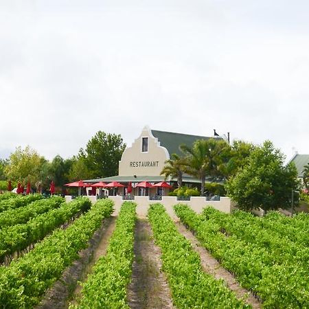 Skilpadvlei Wine Farm Stellenbosch Exteriör bild