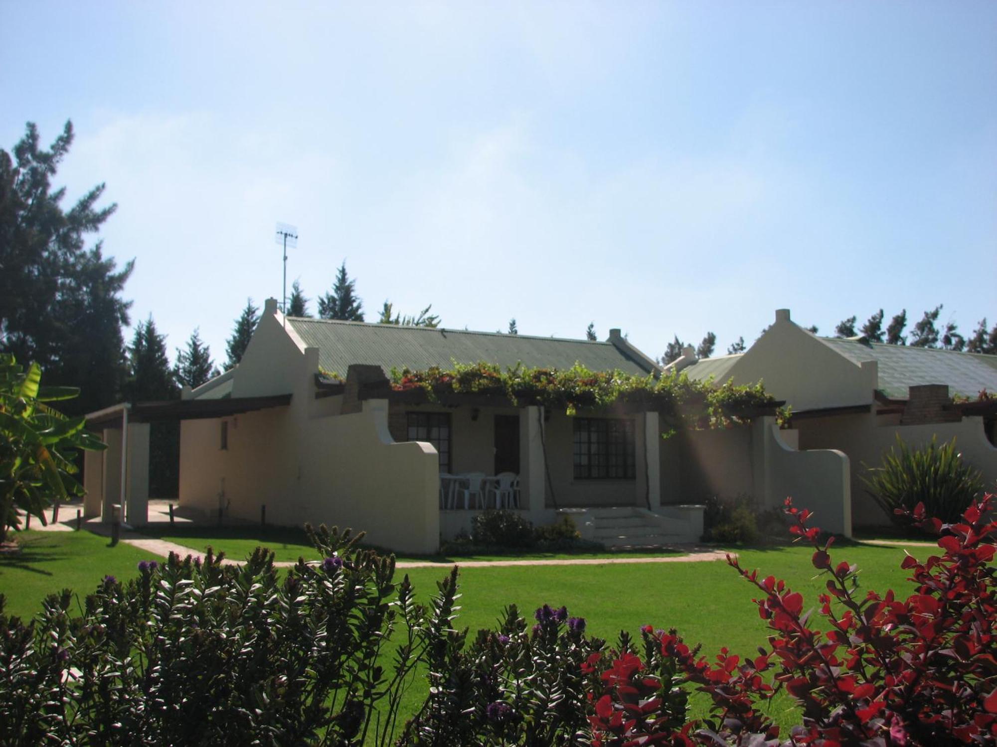 Skilpadvlei Wine Farm Stellenbosch Rum bild
