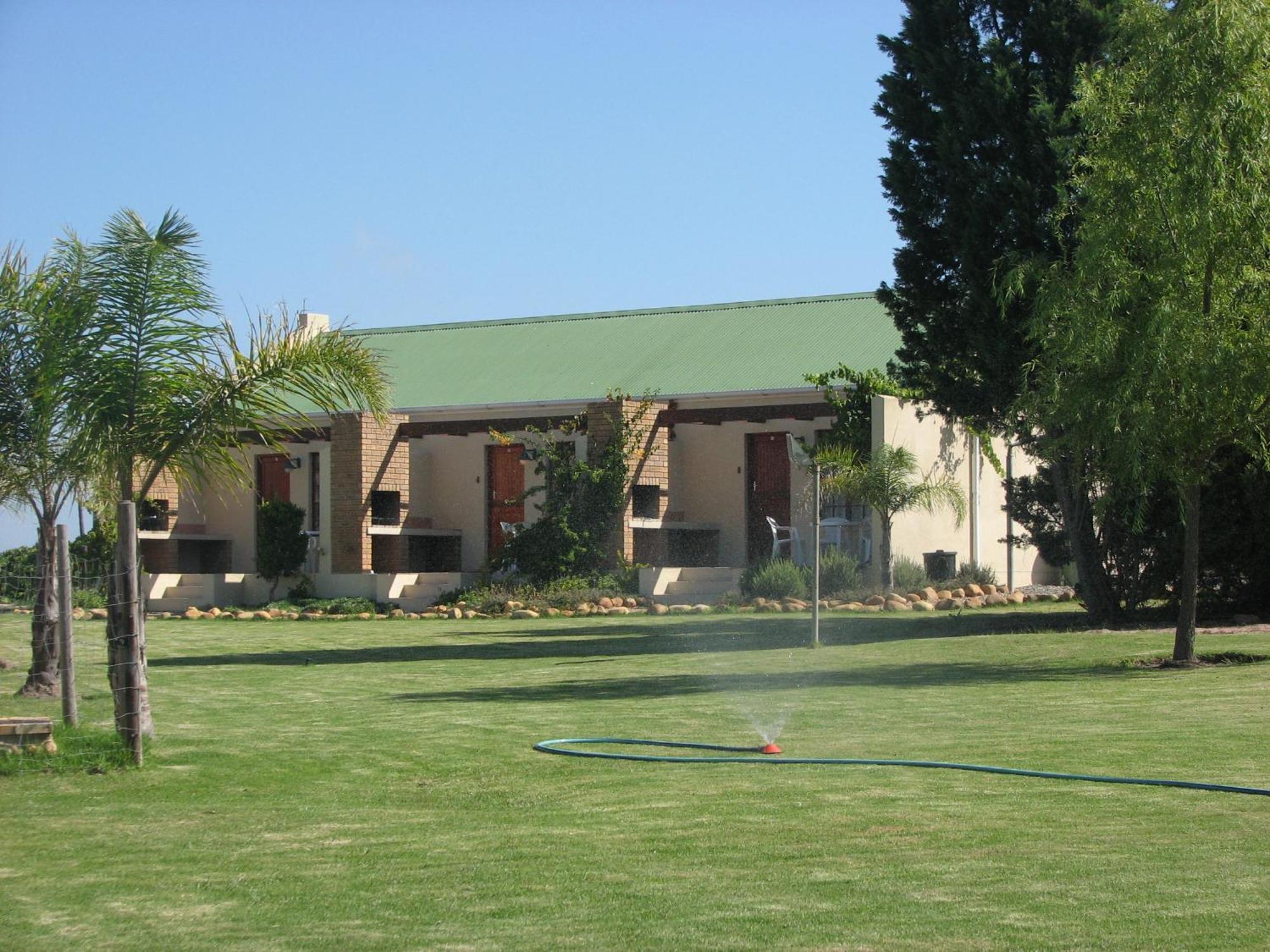Skilpadvlei Wine Farm Stellenbosch Rum bild
