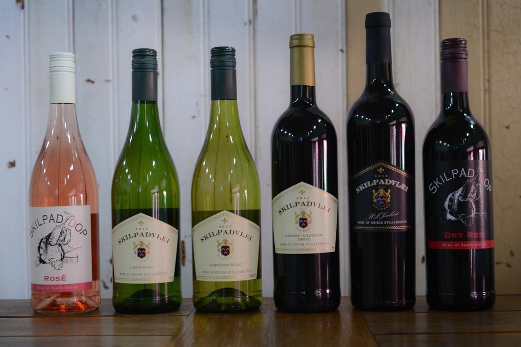 Skilpadvlei Wine Farm Stellenbosch Exteriör bild
