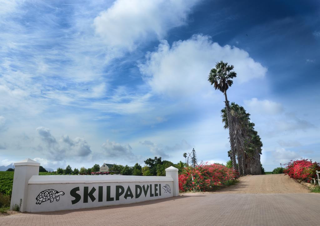 Skilpadvlei Wine Farm Stellenbosch Exteriör bild