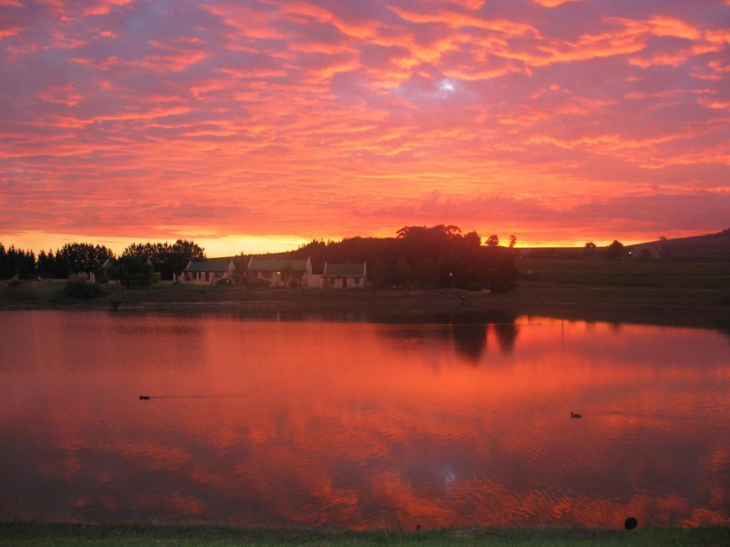 Skilpadvlei Wine Farm Stellenbosch Exteriör bild